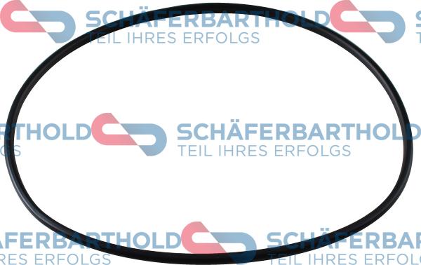 Schferbarthold 313 27 001 01 11 - Seal, fuel sender unit www.avaruosad.ee