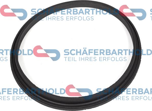 Schferbarthold 317 08 093 01 11 - Seal, fuel sender unit www.avaruosad.ee