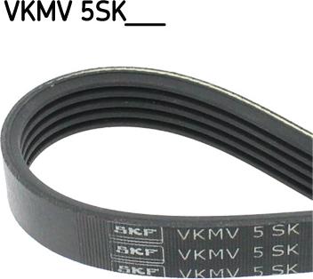 SKF VKMV 5SK748 - V-Ribbed Belts www.avaruosad.ee