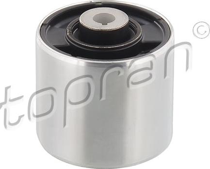 Topran 115 710 - Suspensión, Brazo oscilante www.avaruosad.ee