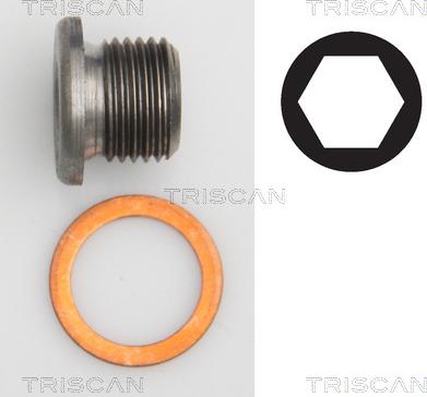 Triscan 9500 2403 - Sealing Plug, oil sump www.avaruosad.ee