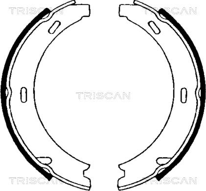 Triscan 8100 23552 - Brake Shoe Set, parking brake www.avaruosad.ee