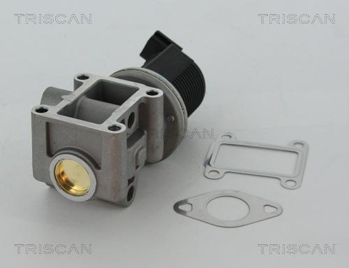 Triscan 8813 24082 - EGR Valve www.avaruosad.ee