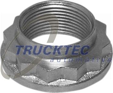 Trucktec Automotive 08.32.053 - Axle Nut, drive shaft www.avaruosad.ee