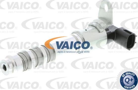 VAICO V40-1557 - Control Valve, camshaft adjustment www.avaruosad.ee