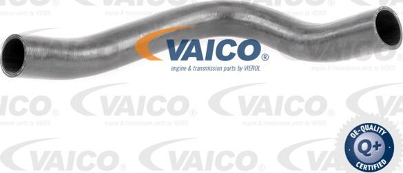 VAICO V42-0609 - Charger Intake Hose www.avaruosad.ee