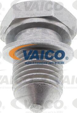 VAICO V10-0885 - Sealing Plug, oil sump www.avaruosad.ee