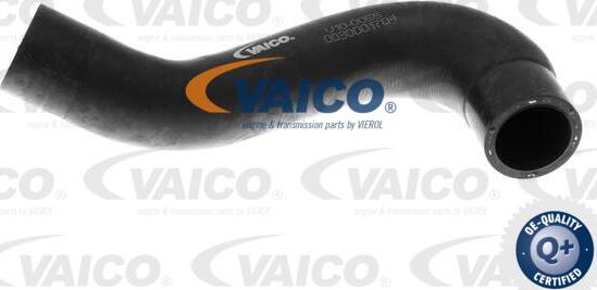 VAICO V10-0055 - Radiator Hose www.avaruosad.ee