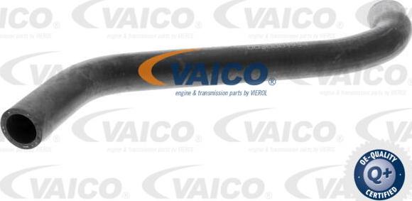 VAICO V10-0051 - Radiatora cauruļvads www.avaruosad.ee