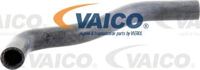 VAICO V10-0061 - Radiatora cauruļvads www.avaruosad.ee