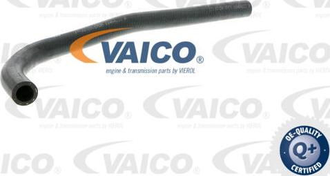 VAICO V10-0063 - Radiatora cauruļvads www.avaruosad.ee