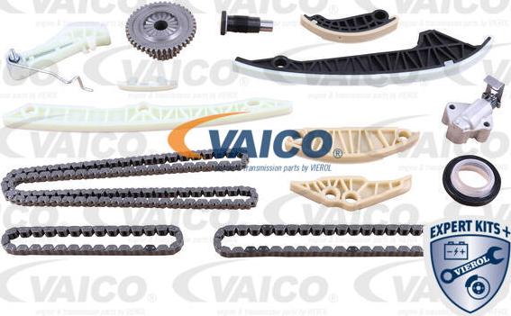 VAICO V10-10022 - Комплект цепи привода распредвала www.avaruosad.ee
