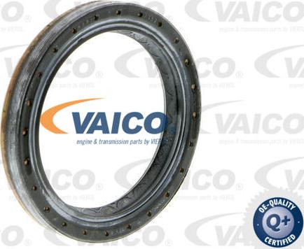 VAICO V10-3331 - Shaft Seal, differential www.avaruosad.ee