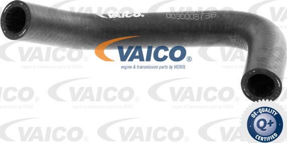 VAICO V10-2814 - Radiatora cauruļvads www.avaruosad.ee