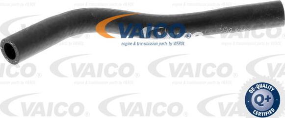 VAICO V30-3146 - Radiator Hose www.avaruosad.ee