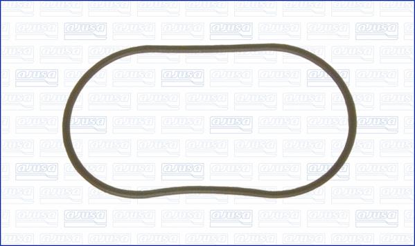 Wilmink Group WG1446932 - Gasket, vacuum pump www.avaruosad.ee