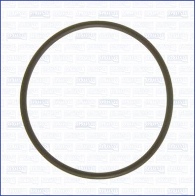 Wilmink Group WG2080861 - Gasket, vacuum pump www.avaruosad.ee