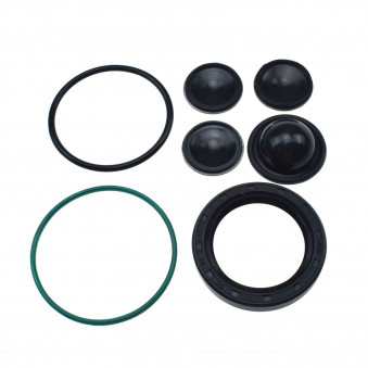 Degvielas sūkņa remonta komplekts PSA, GM 93174538, 815049