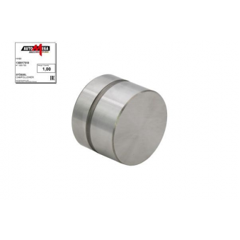 ACCELERATORE IDRAULICO VW, 038109309C-S