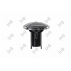 Blinkers FABIA 07-/RAPID 12-/ROOMSTER 1