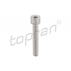 Bolt M8x48 TOPRAN N91108201