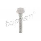Õõtsapolt TOPRAN M10x1,5x62