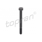 Õõtsapolt TOPRAN M10X100