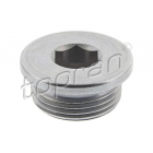 Õlikork M22x1,5 WHT005282 tihendita