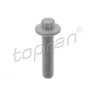 Bolt M10x45 TOPRAN WHT005179