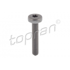 Bolt M6x1x40 TOPRAN N91097201