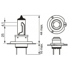 Bosch H7 12V 55W Ultra White 1kpl