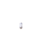 Bosch ECO LED C5W 12V 2,5W