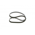 V-ribbed belt