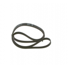 V-ribbed belt 5PK1815
