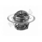 Termostaat Motorad 255002A050