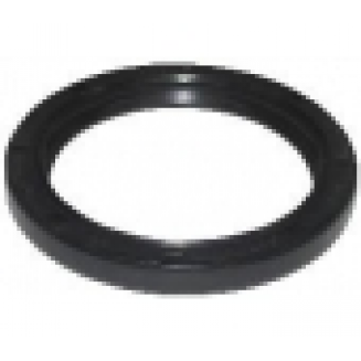 TL gasket 084409189B, 30915263