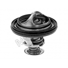 Termostaat Motorad 31368377