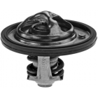 Termostaat Motorad 1767065D00