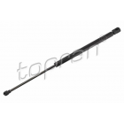 Luugiamort TOPRAN 31218511