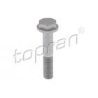 Bolt M10x1.25x25 TOPRAN 7703002735