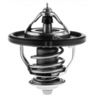 Termostaat Motorad 255002E000