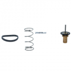 Flants Motorad 3C0122291