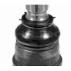 Sarniir 22mm