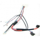 Ducati Monster wiring harness