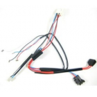 Ducati Monster wiring harness