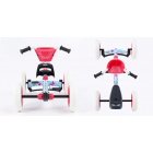 Buzzy Bloom kartauto
