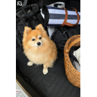 Pagasimatt Skoda Scala alates 2019 hb