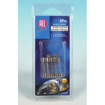 Set di protezioni in vetro. 6 pezzi 2-25A, S103-007311