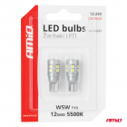 S103-04243 Led pirn 2tk 12SMD 12/24V T10