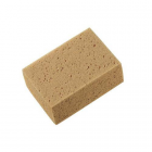 Small sponge